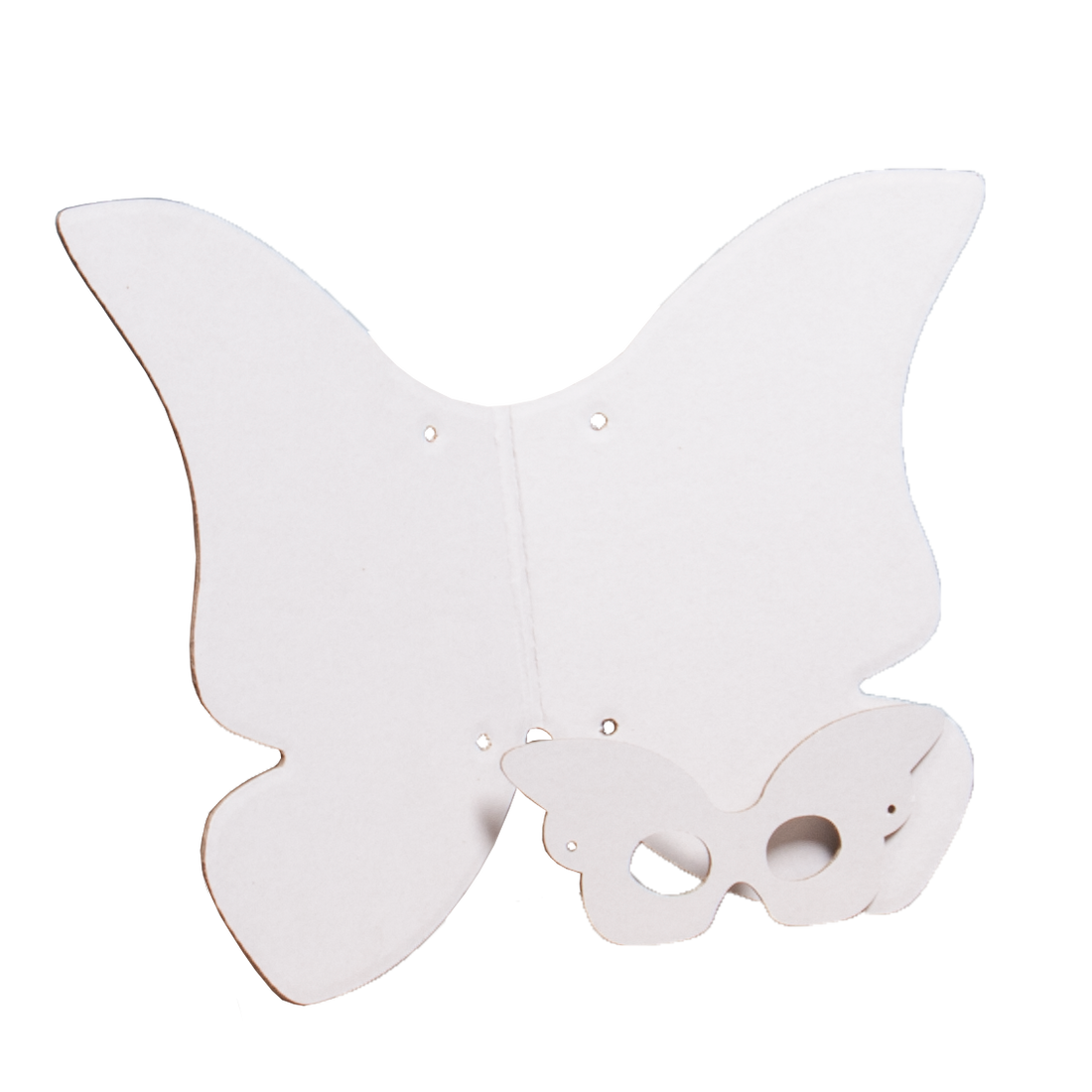 Butterfly costume cardboard