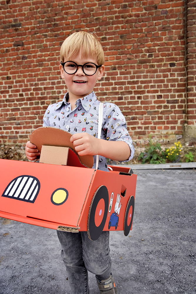 Car Miffy cardboard