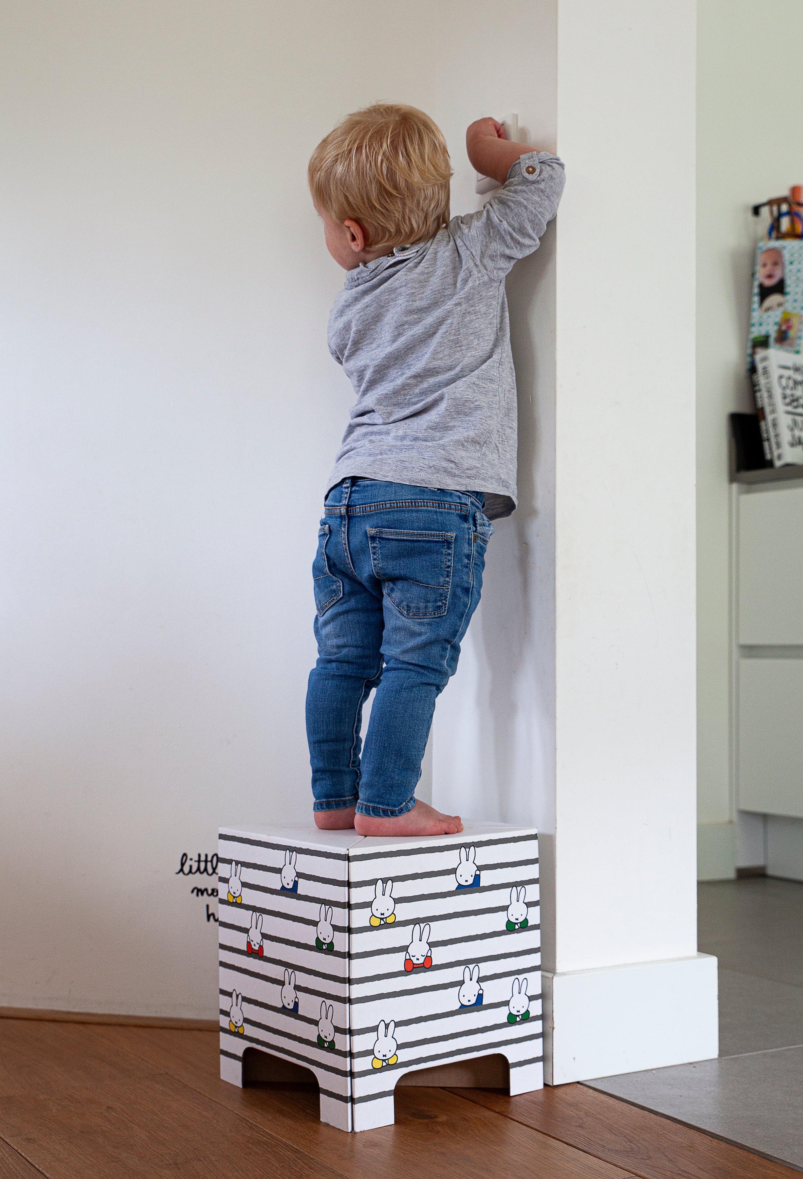 Miffy stool stool cardboard